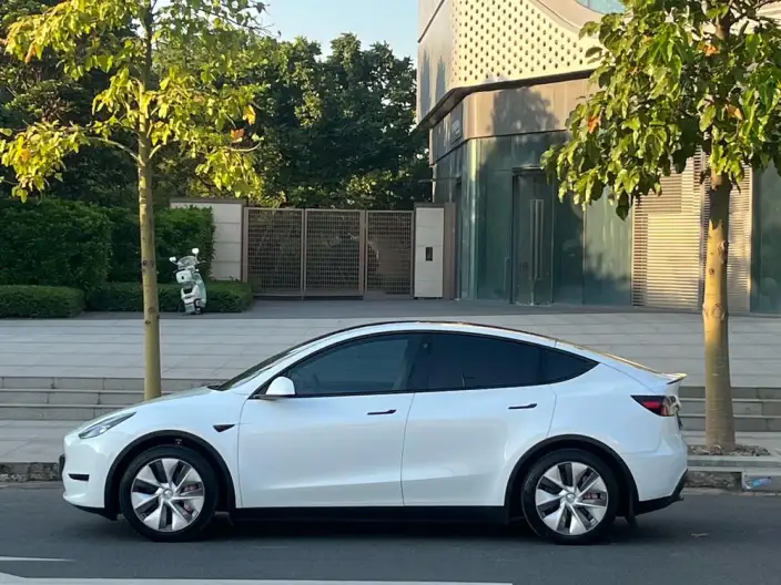 Model Y 2021 Model Standard Battery Life Rear-wheel drive version – фото 4