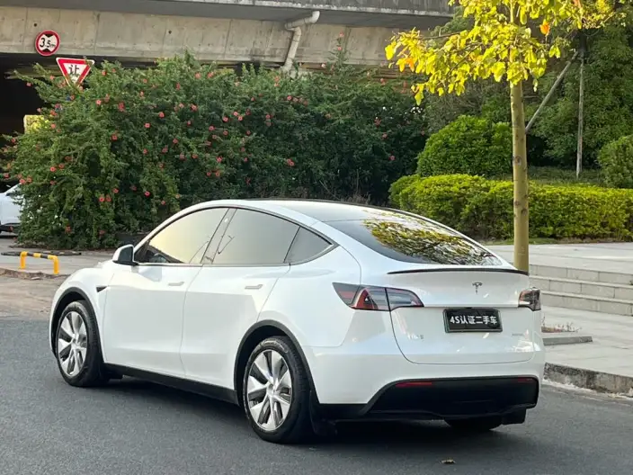 Model Y 2021 Model Standard Battery Life Rear-wheel drive version – фото 5