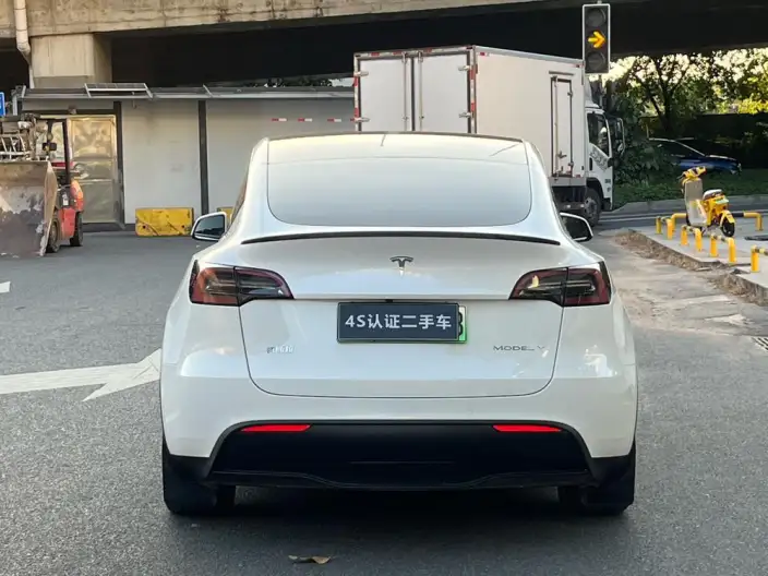Model Y 2021 Model Standard Battery Life Rear-wheel drive version – фото 6