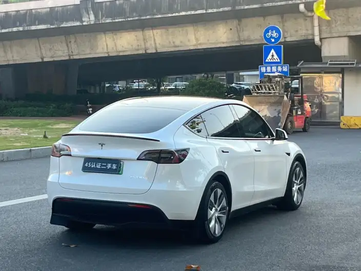 Model Y 2021 Model Standard Battery Life Rear-wheel drive version – фото 7