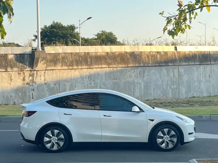 Model Y 2021 Model Standard Battery Life Rear-wheel drive version – фото 8
