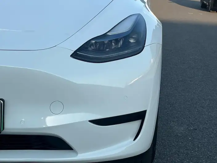 Model Y 2021 Model Standard Battery Life Rear-wheel drive version – фото 9