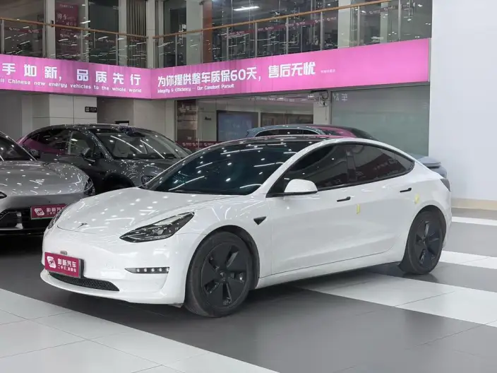 Model 3 2022 Model Rear-wheel drive version – фото 1