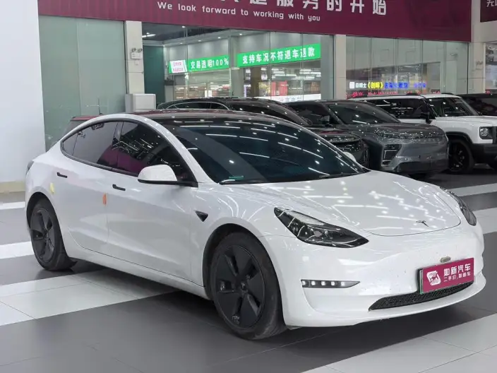 Model 3 2022 Model Rear-wheel drive version – фото 3