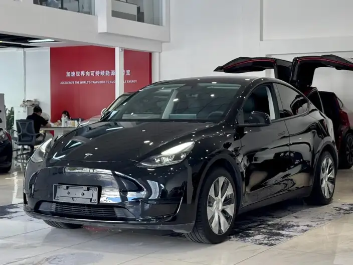 Model Y 2022 Model Facelift Rear-wheel drive version – фото 1