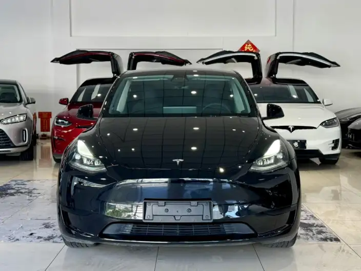 Model Y 2022 Model Facelift Rear-wheel drive version – фото 2