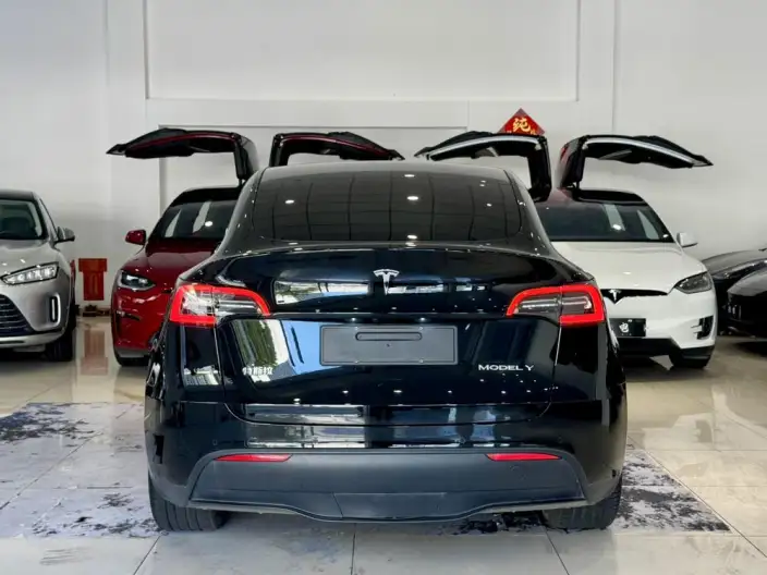 Model Y 2022 Model Facelift Rear-wheel drive version – фото 6