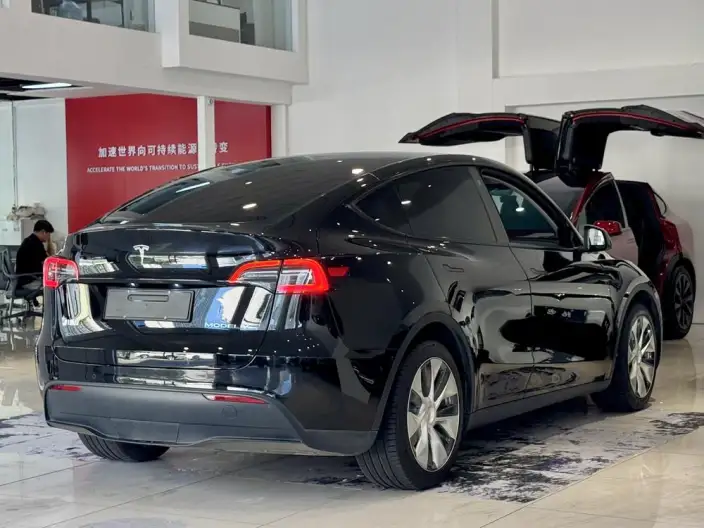 Model Y 2022 Model Facelift Rear-wheel drive version – фото 7
