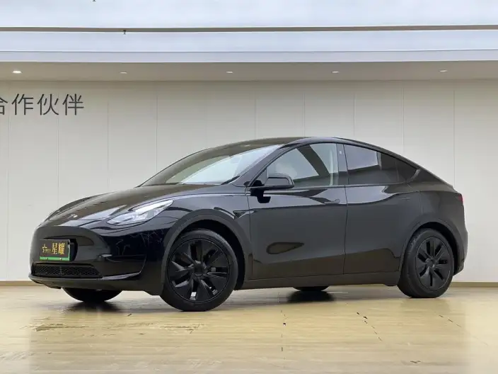 Model Y 2023 Model Rear-wheel drive version – фото 1