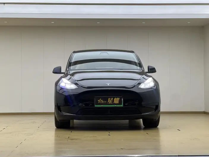 Model Y 2023 Model Rear-wheel drive version – фото 2
