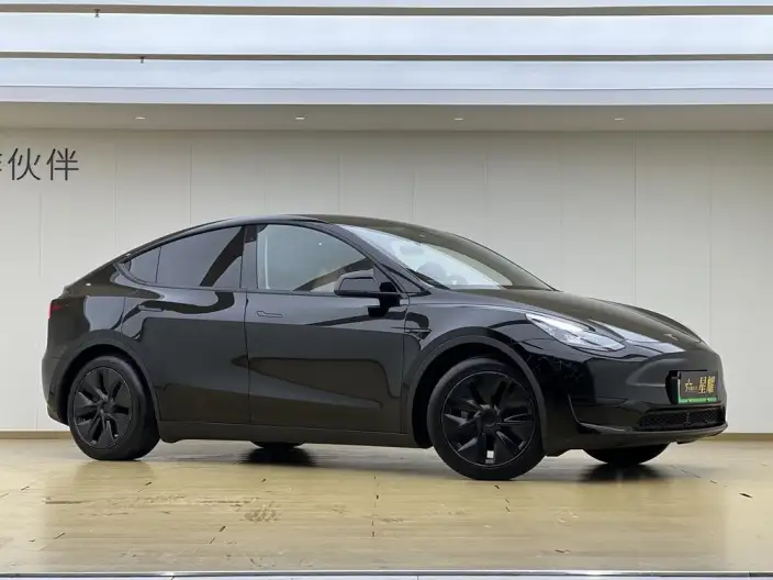 Model Y 2023 Model Rear-wheel drive version – фото 3