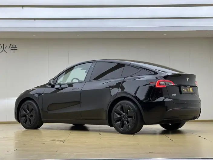 Model Y 2023 Model Rear-wheel drive version – фото 4