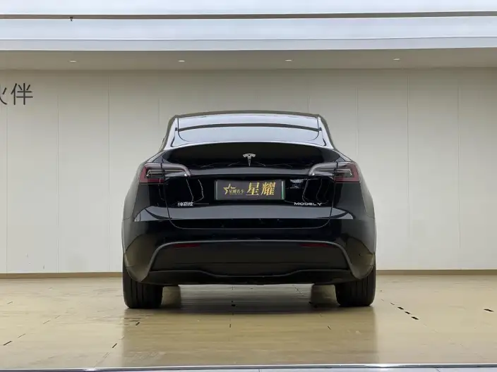 Model Y 2023 Model Rear-wheel drive version – фото 5