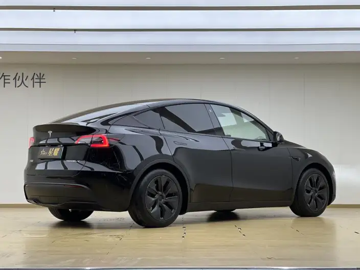 Model Y 2023 Model Rear-wheel drive version – фото 6