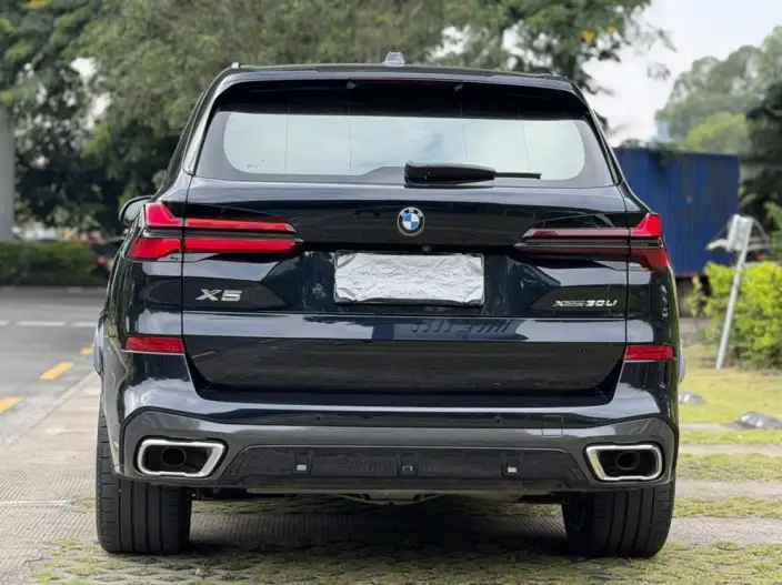 BMW X5 2023 Model xDrive30Li Exclusive Model M Sports Night Set – фото 5