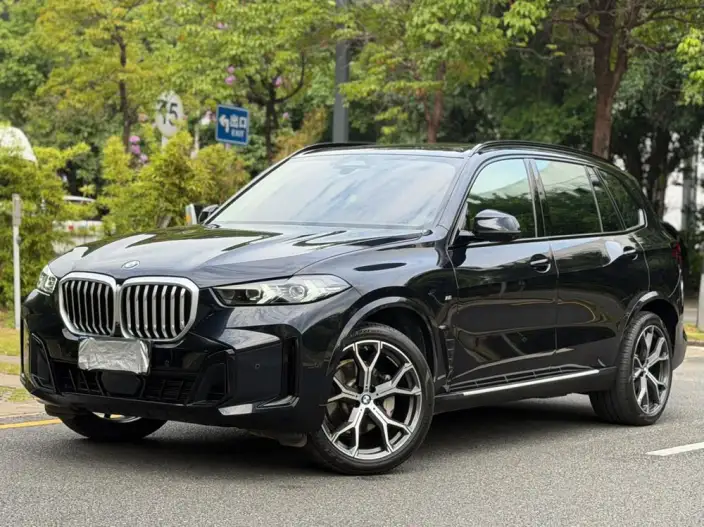 BMW X5 2023 Model xDrive30Li Exclusive Model M Sports Night Set – фото 8