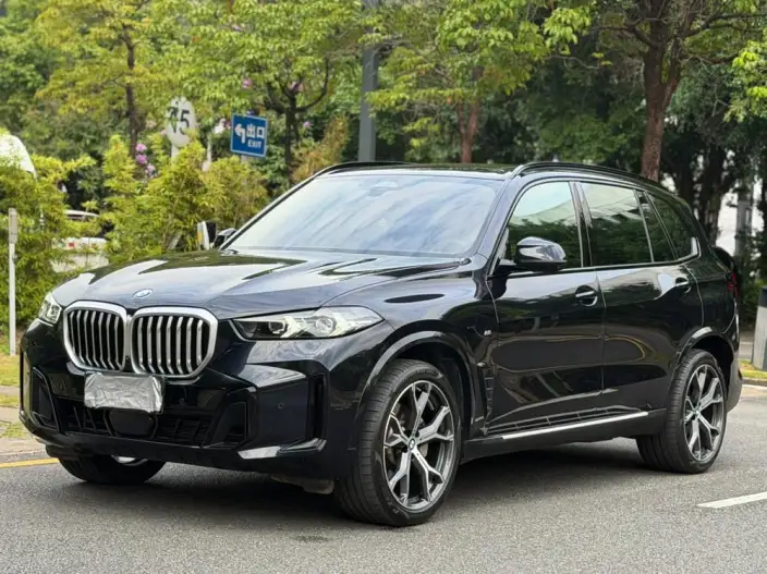 BMW X5 2023 Model xDrive30Li Exclusive Model M Sports Night Set – фото 10