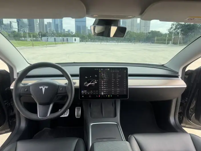 Model 3 2022 Model Rear-wheel drive version – фото 7