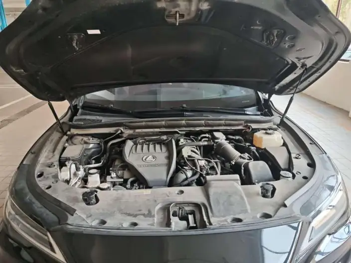 Lexus RX 2023 Model 500h DIRECT4 F SPORT Performance – фото 5
