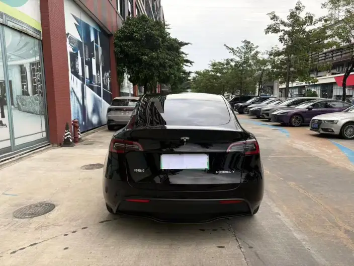 Model Y 2023 Model Rear-wheel drive version – фото 7
