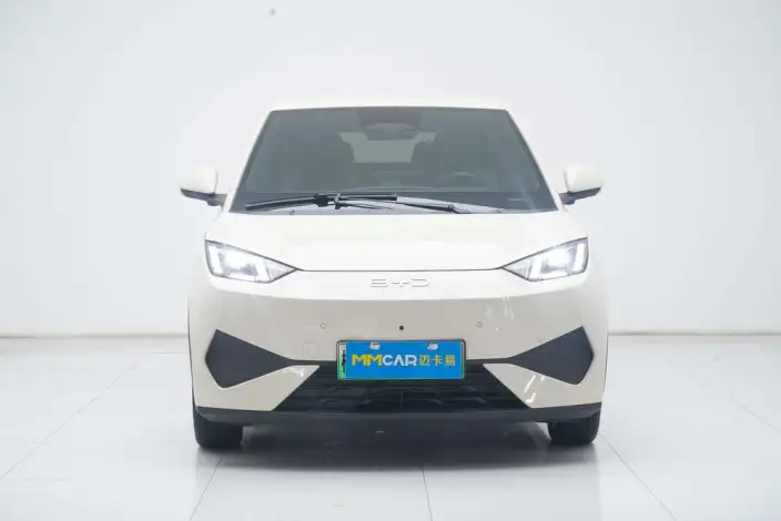 BYD Seagull 2025 Model 305KM Free Edition