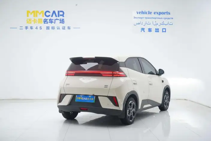 BYD Seagull 2025 Model 305KM Free Edition – фото 5