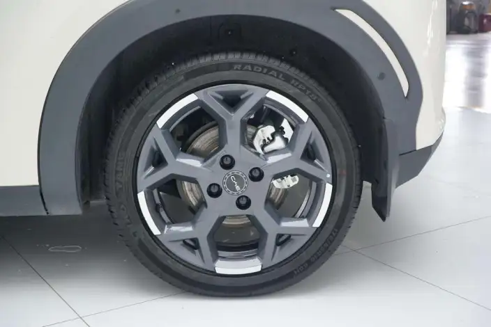 BYD Seagull 2025 Model 305KM Free Edition – фото 6