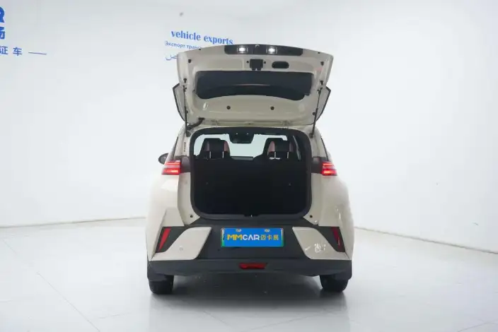 BYD Seagull 2025 Model 305KM Free Edition – фото 9