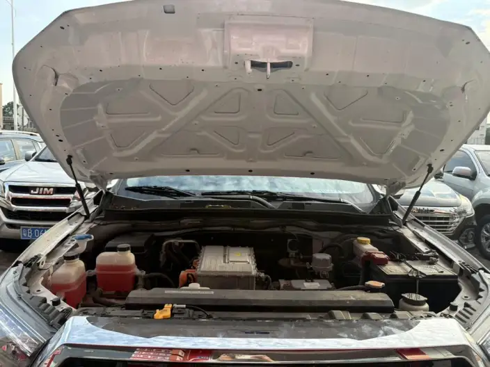 Ruiqi 6 EV 2023 Model Standard Edition 350km – фото 7