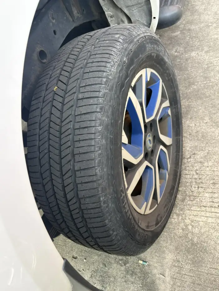 Ruiqi 6 EV 2023 Model Standard Edition 350km – фото 9