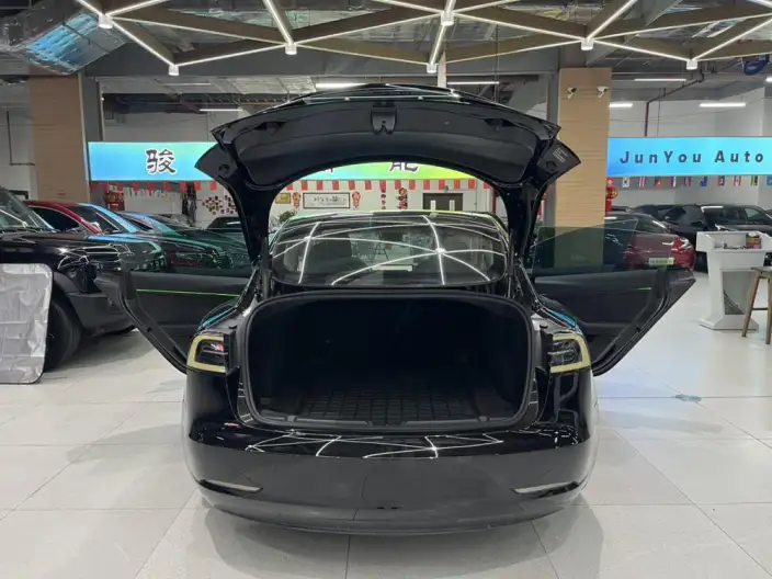 Model 3 2022 Model Rear-wheel drive version