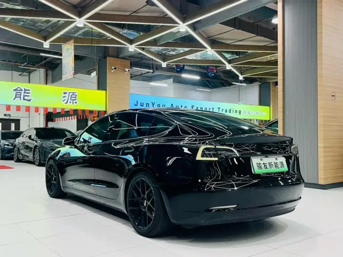 Model 3 2022 Model Rear-wheel drive version – фото 6
