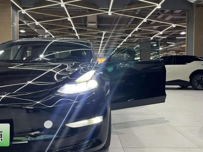 Model 3 2022 Model Rear-wheel drive version – фото 8