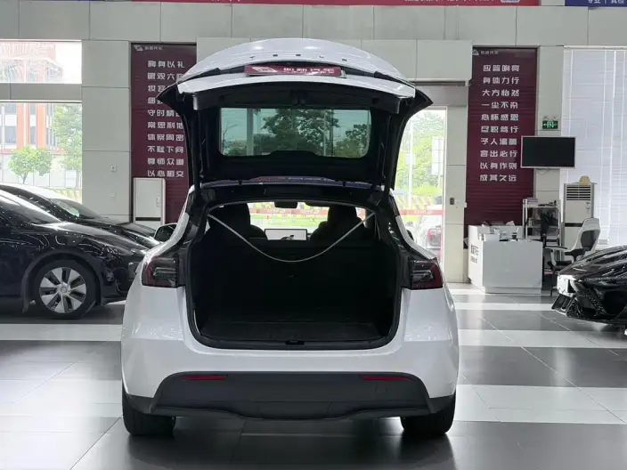 Model Y 2024 Model Rear-wheel drive version – фото 9