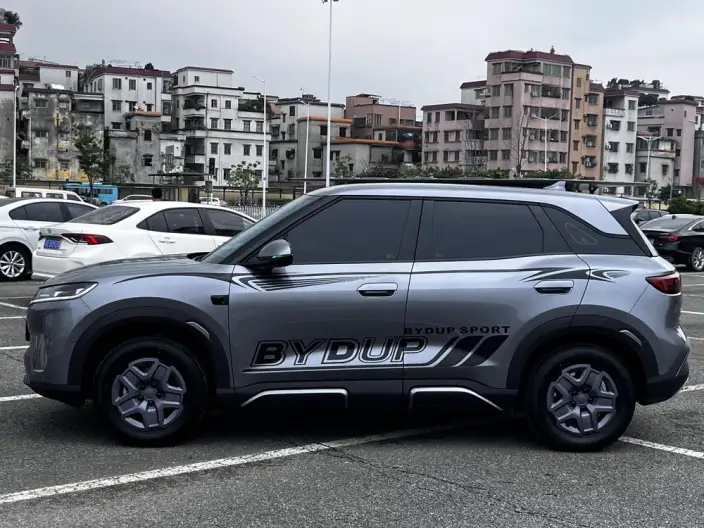 Yuan UP 2025 Model Smart Driving Edition 401KM Vitality Edition
