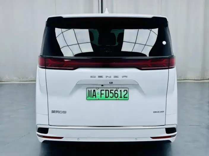 DENZA D9 DM 2022 Model 970 4WD Flagship Model – фото 4