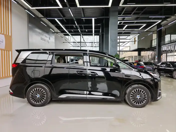 DENZA D9 DM 2025 Model Smart Driving Edition 1020 4WD Flagship Model – фото 7