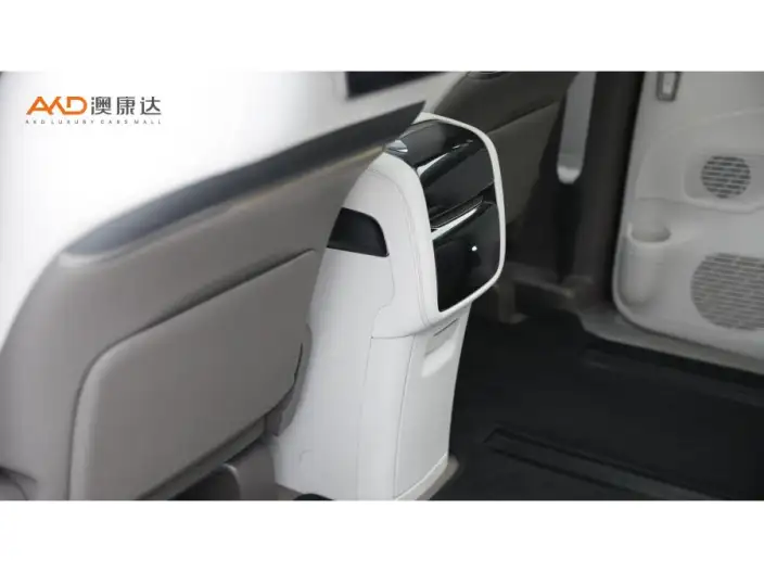 DENZA D9 DM 2022 Model 970 4WD Flagship Model – фото 5