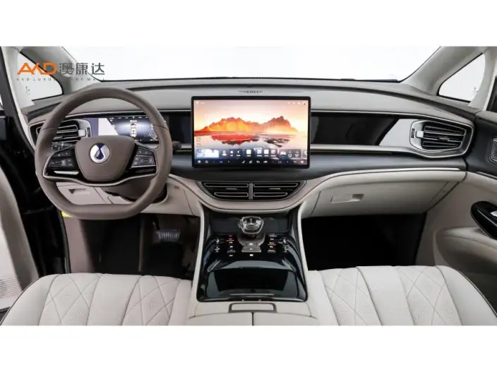 DENZA D9 DM 2022 Model 970 4WD Flagship Model – фото 6