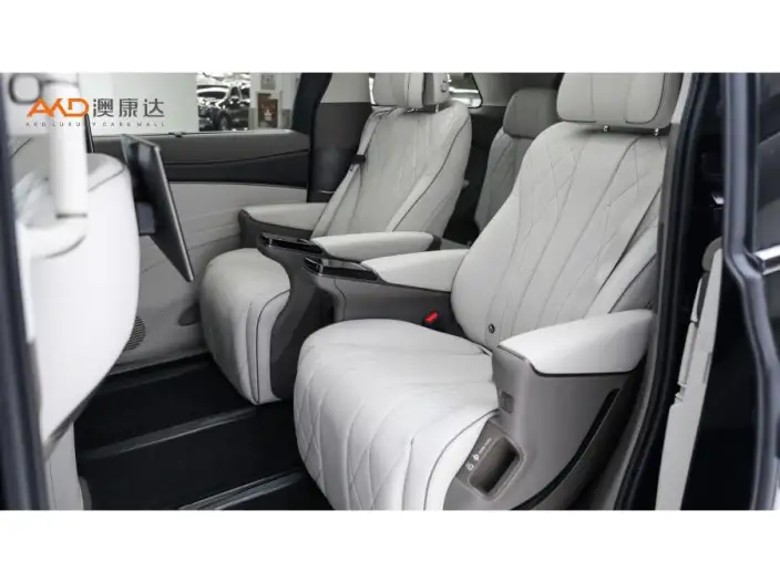 DENZA D9 DM 2022 Model 970 4WD Flagship Model – фото 9