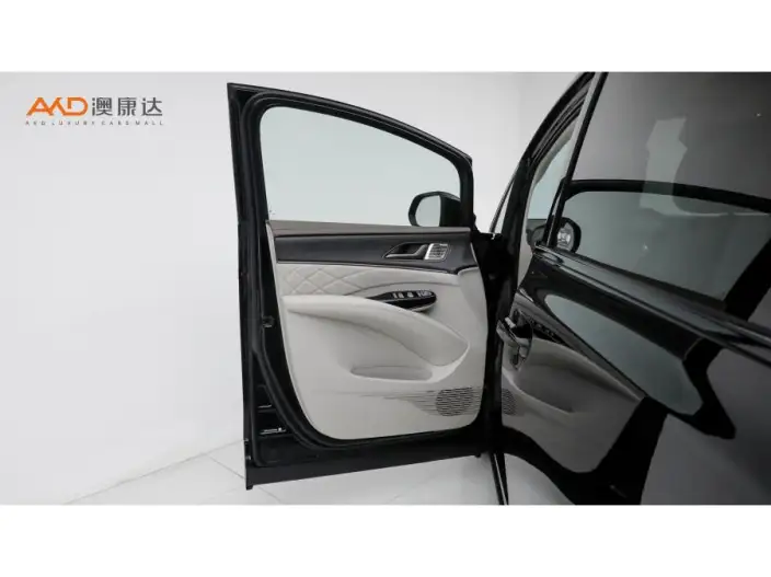 DENZA D9 DM 2022 Model 970 4WD Flagship Model – фото 10