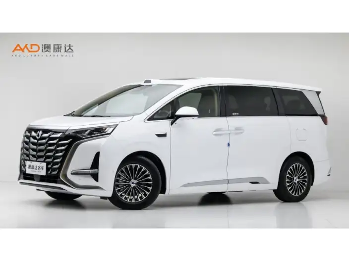 DENZA D9 DM 2025 Model Smart Driving Edition 1020 4WD Flagship Model
