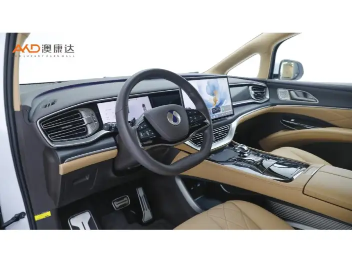 DENZA D9 DM 2025 Model Smart Driving Edition 1020 4WD Flagship Model – фото 7