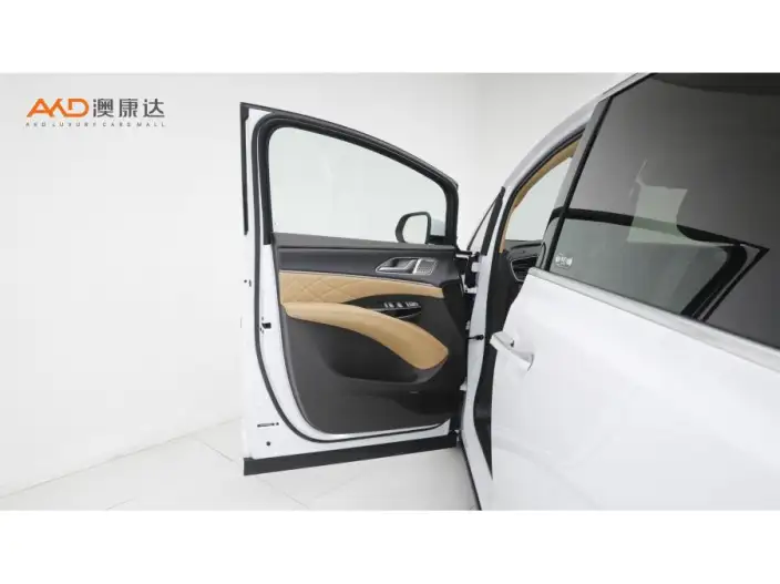 DENZA D9 DM 2025 Model Smart Driving Edition 1020 4WD Flagship Model – фото 10