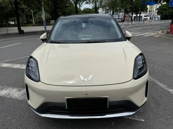 Wuling BingoS 2025 Model 430km Flagship Model