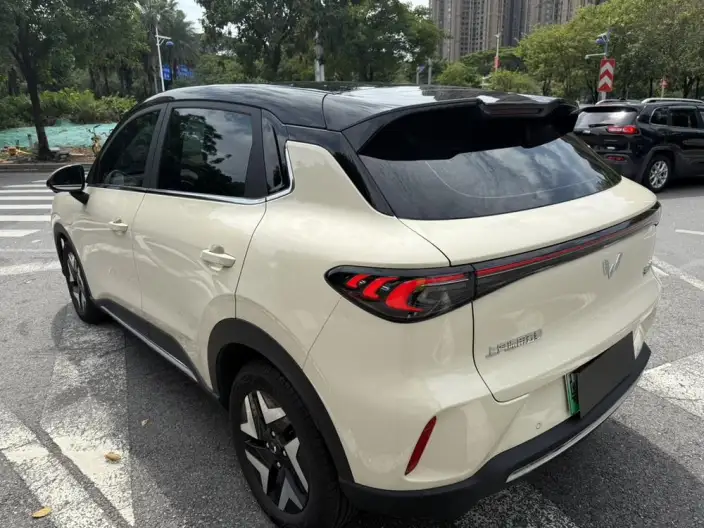 Wuling BingoS 2025 Model 430km Flagship Model