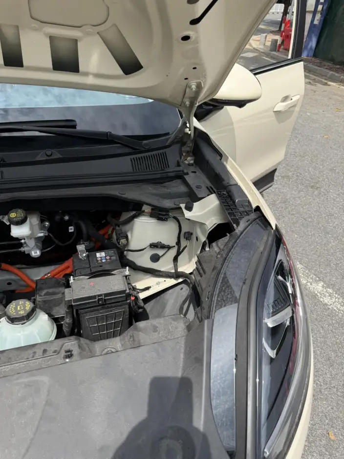 Wuling BingoS 2025 Model 430km Flagship Model – фото 5