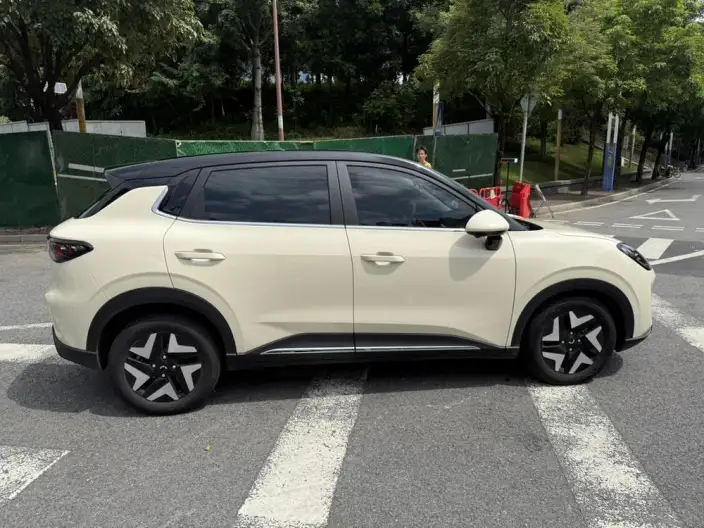 Wuling BingoS 2025 Model 430km Flagship Model – фото 6
