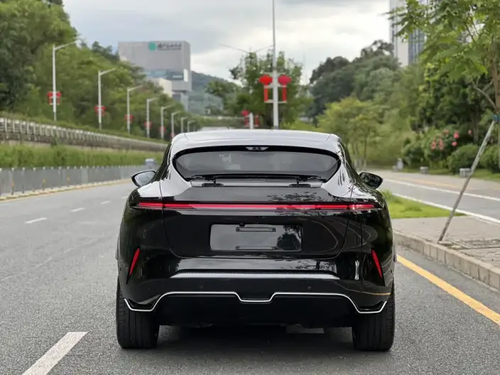 Avita 11 2023 Model 90 degree Luxury Edition – фото 5