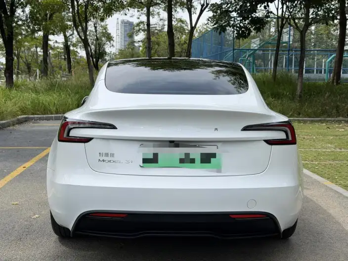 Model 3 2025 Model Facelift Long Battery Life Pro Rear-wheel drive version – фото 5